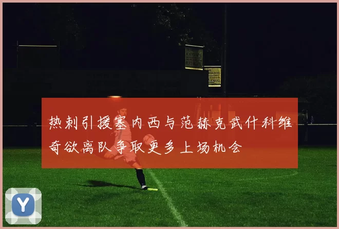 热刺引援塞内西与范赫克武什科维奇欲离队争取更多上场机会